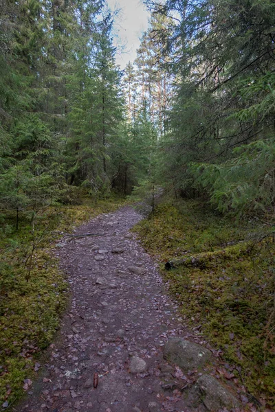 Parque Nacional Norra Kvill Finales Otoño — Foto de Stock