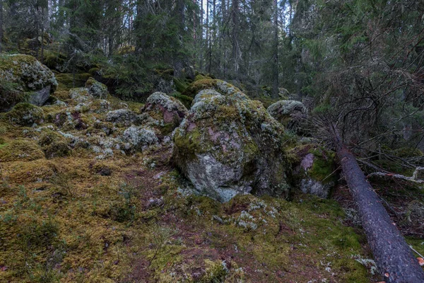 Parc National Norra Kvill Fin Automne — Photo
