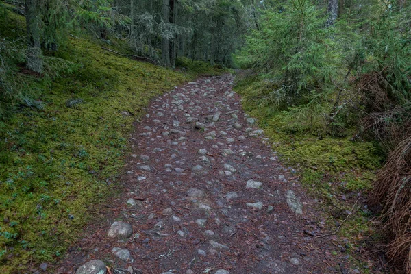 Norra Kvill National Park Autunno Inoltrato — Foto Stock