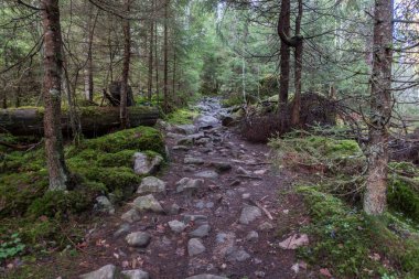 Norra Kvill Milli Parkı