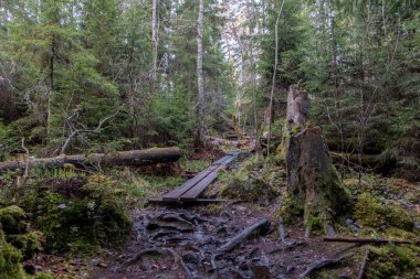 Norra Kvill Milli Parkı