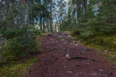 Norra Kvill Milli Parkı