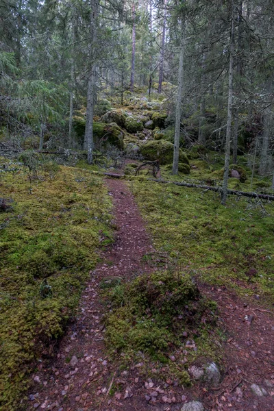 Parque Nacional Norra Kvill Finales Otoño — Foto de Stock