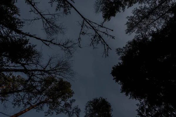 Norra Kvill Milli Parkı geç düşmek