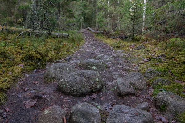 Norra Kvill Nationalpark Spätherbst — Stockfoto