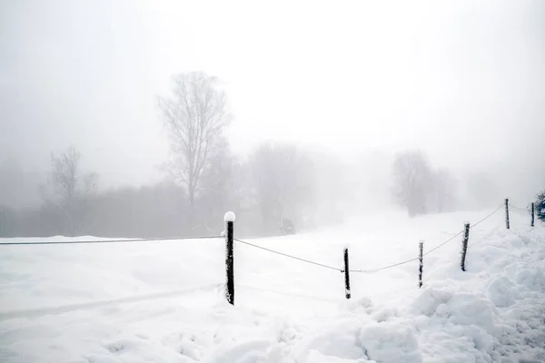 Winter mist — Stock Photo, Image