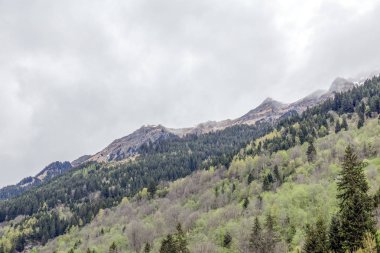 Avusturya Alplerinde bahar