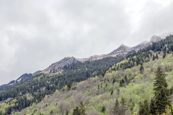 Avusturya Alplerinde bahar