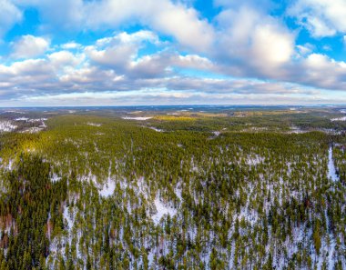 Orman ve kar ile kışın donmuş manzara zemin kaplı