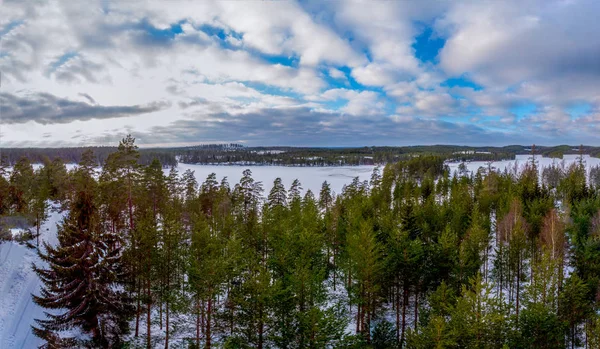 Wald Und Gefrorene Landschaft Winter Mit Verschneitem Boden — Stockfoto