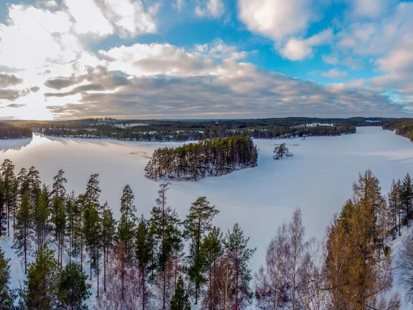 Forêt Paysage Gelé Hiver Avec Sol Enneigé — Photo