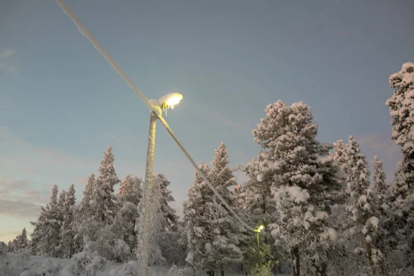 Studená Zima Jehličnatý Les Severu Švédska — Stock fotografie