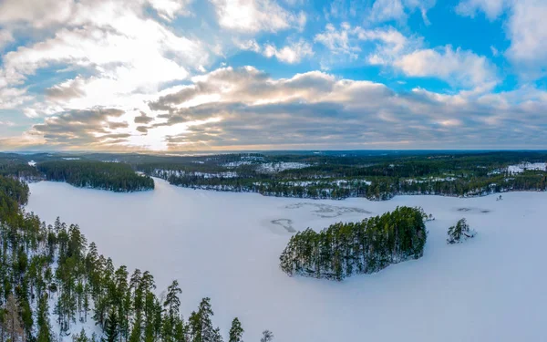 森と雪で冬に冷凍風景地面を覆われています — ストック写真