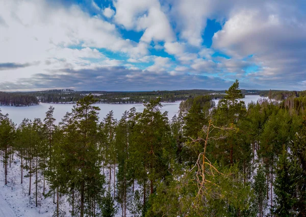 Orman Kar Ile Kışın Donmuş Manzara Zemin Kaplı — Stok fotoğraf