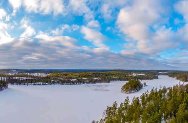 Bosque Paisaje Congelado Invierno Con Suelo Cubierto Nieve — Foto de Stock