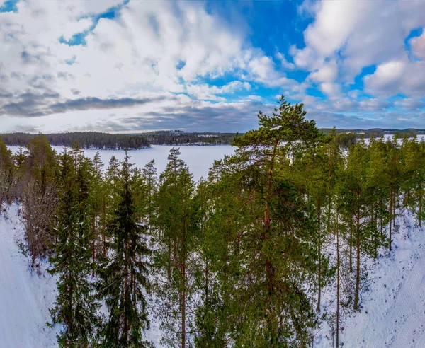 Skogen Och Frusna Landskap Vinter Med Snö Täckte Marken — Stockfoto