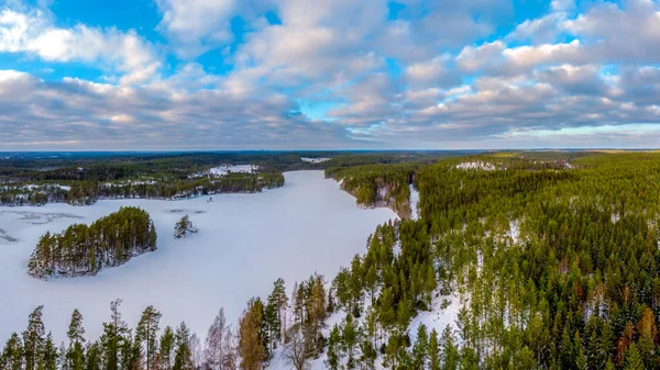 Les Zmrzlá Krajina Zimě Sníh Pokryl — Stock fotografie