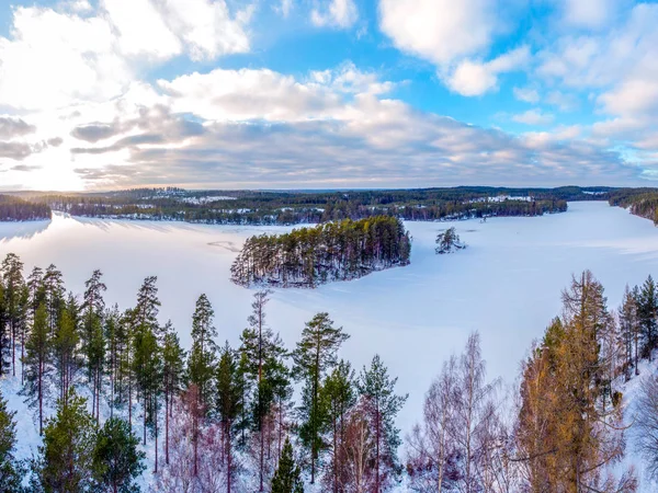 Bosque Paisaje Congelado Invierno Con Suelo Cubierto Nieve — Foto de Stock