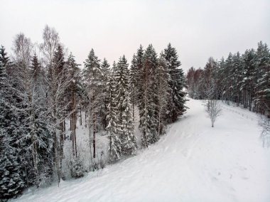Manzara ve kar üzerinde beyaz bir battaniye ağaçlarda serpilir