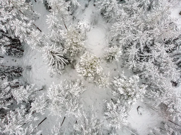 Eine Weiße Decke Über Der Landschaft Und Schnee Auf Den — Stockfoto