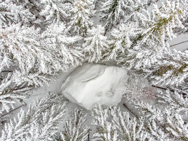 雪覆盖的常青树是美丽的 — 图库照片