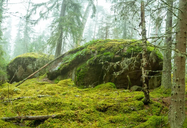 Ycke-Naturschutzgebiet — Stockfoto