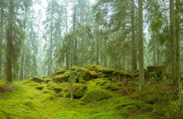 Ycke-Naturschutzgebiet — Stockfoto