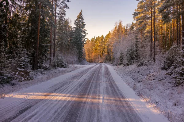 New Snow — Stock Photo, Image