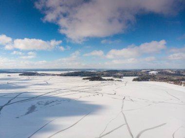Kuzey kış manzarası. Bir sürü yeşil orman. Donmuş bir göl.