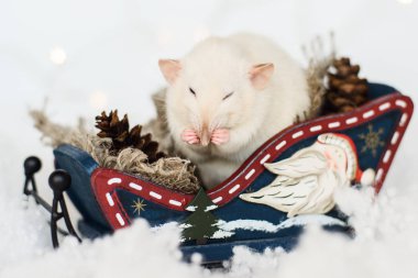 Komik fare Noel süsleri, kızak oturan yıkama