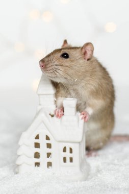 Funny rat leaning on Christmas scandinavian house candle clipart