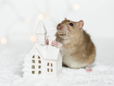 Funny rat leaning on Christmas scandinavian house candle clipart