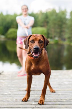 Gözlüklü hamile kız tasmalı bir köpek tutuyor.
