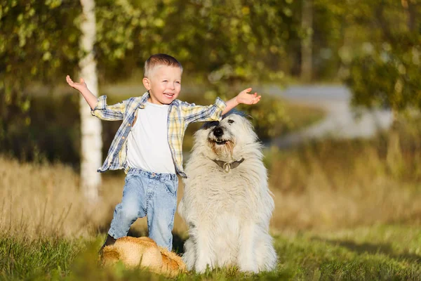 Feliz sorrindo menino loiro andando com cão amigo na fazenda — Fotografia de Stock