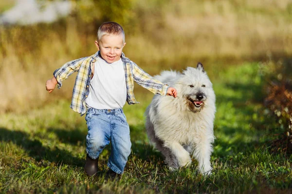 Feliz sorrindo menino loiro correndo com cão amigo na fazenda — Fotografia de Stock