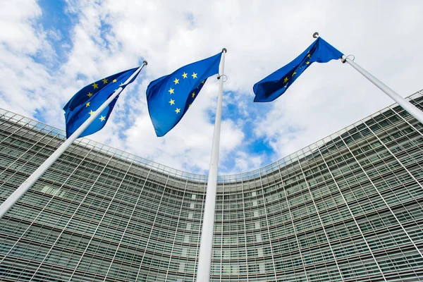 Bandiere dell'Unione europea sullo sfondo dell'Europa — Foto Stock