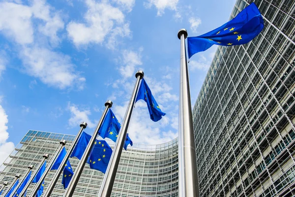 Flaggen der Europäischen Union vor dem Hintergrund der Europäischen Union — Stockfoto