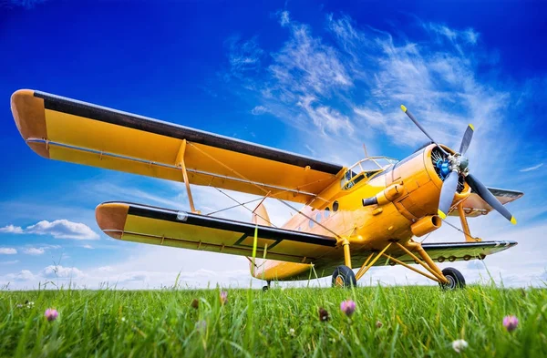 Avion Historique Sur Une Prairie Contre Ciel Bleu — Photo