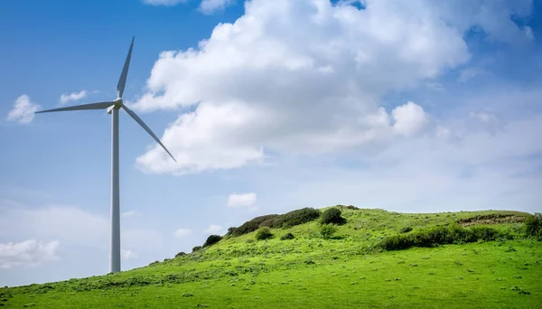 Větrná Turbína Zelené Louce — Stock fotografie