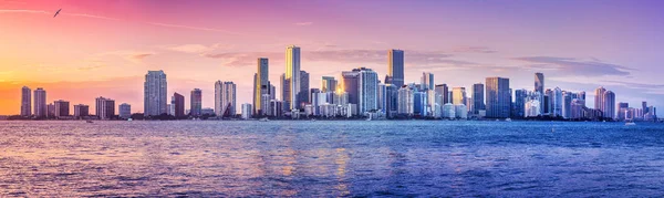 Panoramę Miami Podczas Zachodu Słońca — Zdjęcie stockowe