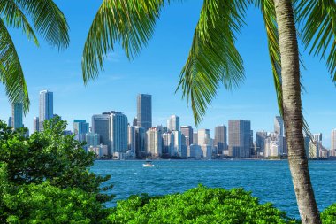 miami, florida manzarası