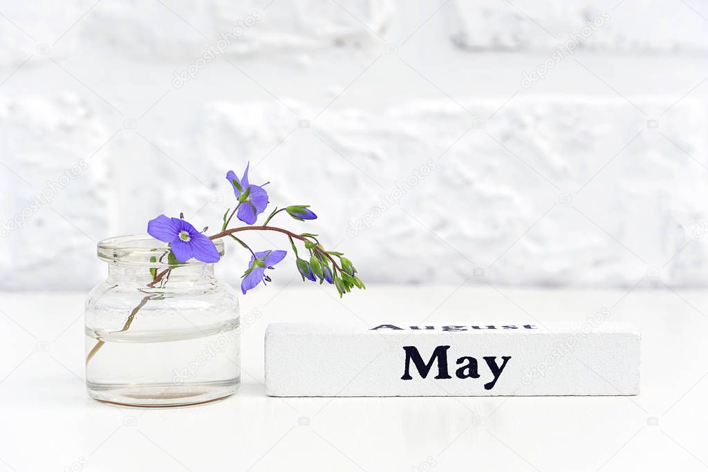 Wood calendar spring month May and blue flower in bottle vase on table background white brick wall Copy space Minimal style. Template for postcard, text, design Concept Hello May