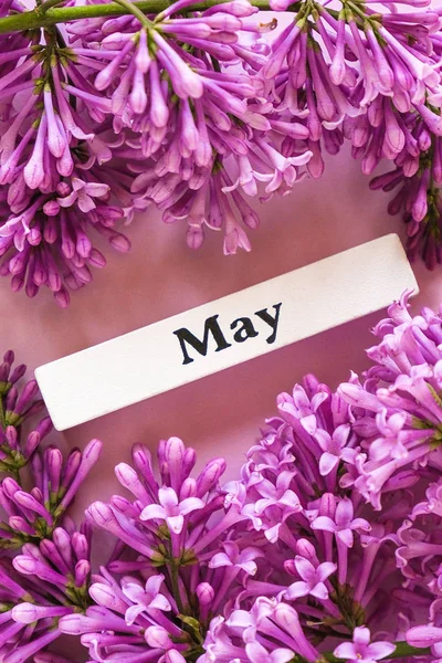 Mês de primavera de calendário de madeira de maio e flores de lilás no fundo rosa, perto. Espaço para cópia. Estilo mínimo. Modelo para cartão de saudação, texto, design. Olá conceito de maio — Fotografia de Stock