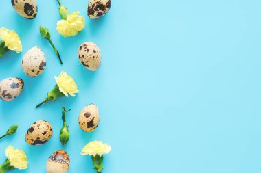 Bahar çiçekleri ve yumurtaların sınırı. Sarı çiçekler ve organik doğal bıldırcın yumurtaları mavi arka planda fotokopi alanı ile. Tasarımınız için Creative Flat Lay Top view Şablonu. Mutlu Paskalyalar, sıfır atık kavramı.