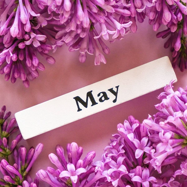 Mês Primavera Calendário Madeira Maio Flores Lilás Fundo Rosa Perto — Fotografia de Stock