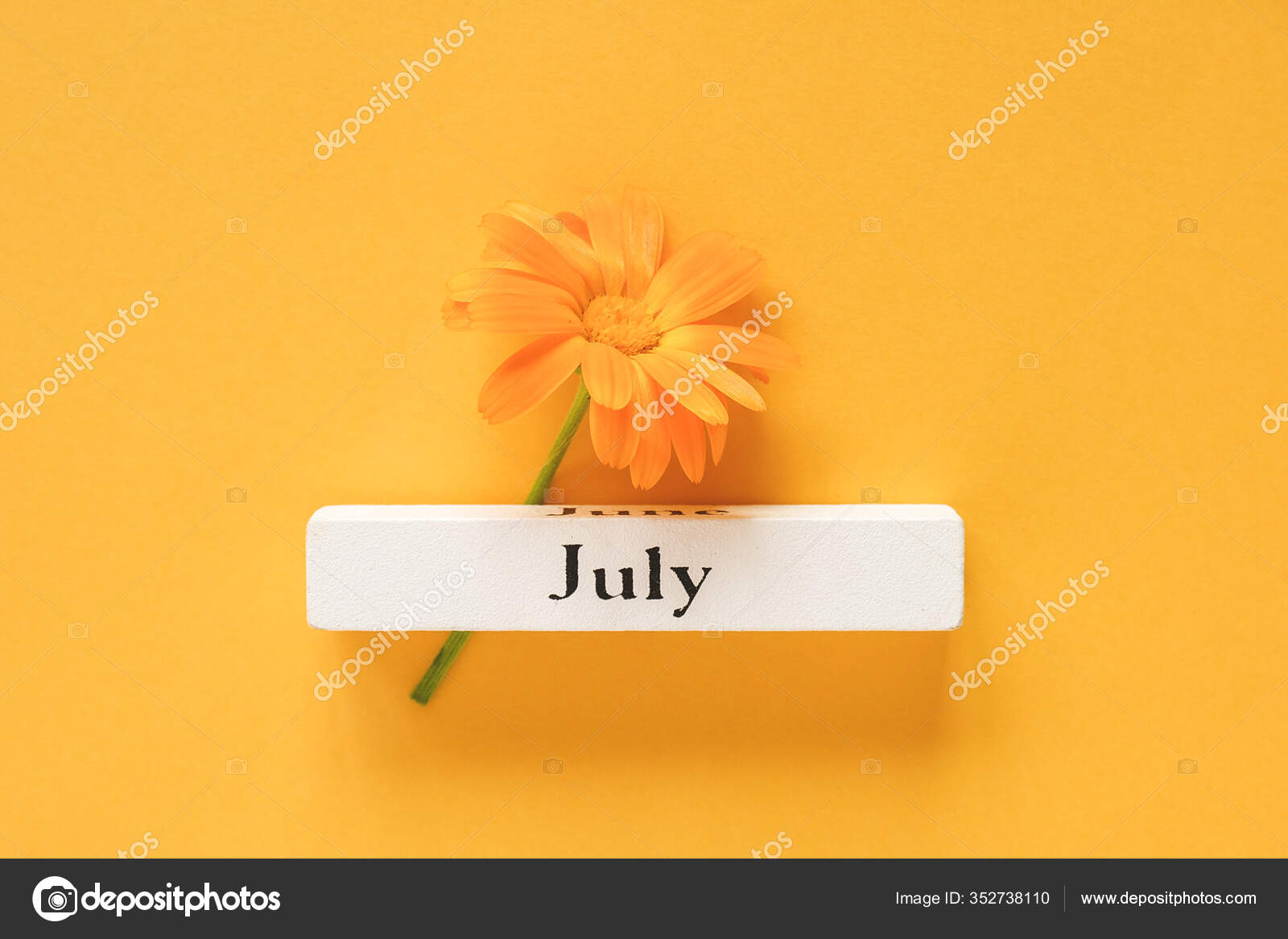 july summer background