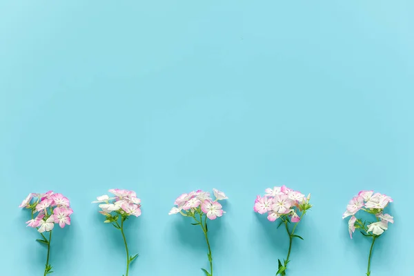 Frontera Hizo Pequeñas Flores Flor Sobre Fondo Azul Con Espacio — Foto de Stock