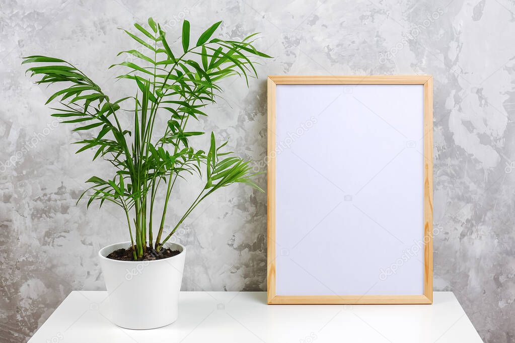 Wooden vertical frame with white blank card and green exotic palm flower in pot on table on gray concrete wall background. Mockup Template for your design, text.