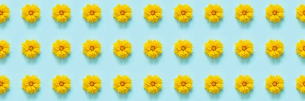 Flower Pattern Banner Made Natural Yellow Flowers Blue Background Template — Stock Photo, Image