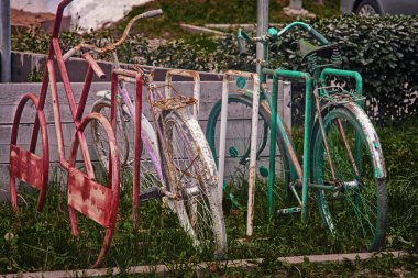 Eski Paslı Eski Bisikletler Yeşil bitkilerin yakınındaki Duvar 'a karşı